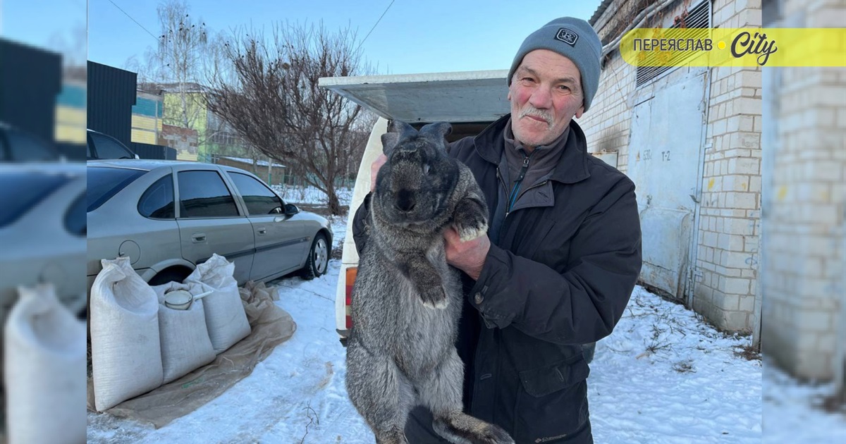 На базарі в Переяславі продавали кролицю за 1000 гривень, а фруктів було більше ніж овочів