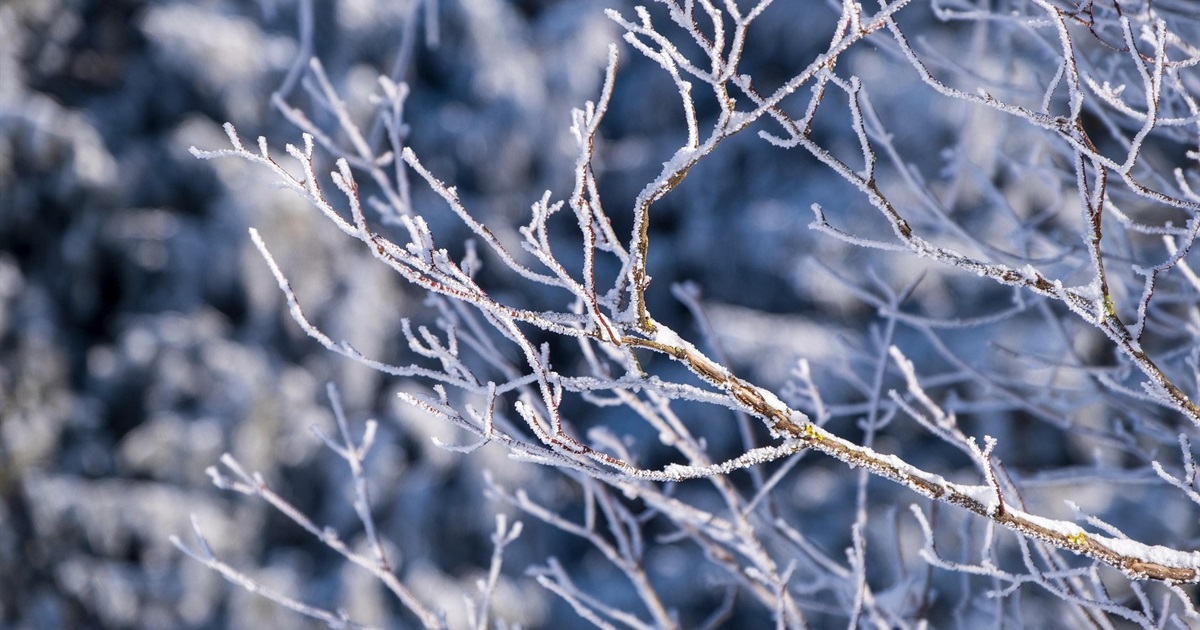Зміни лютого 2026: воєнний стан, мобілізаія, виплати дітям та єОселя