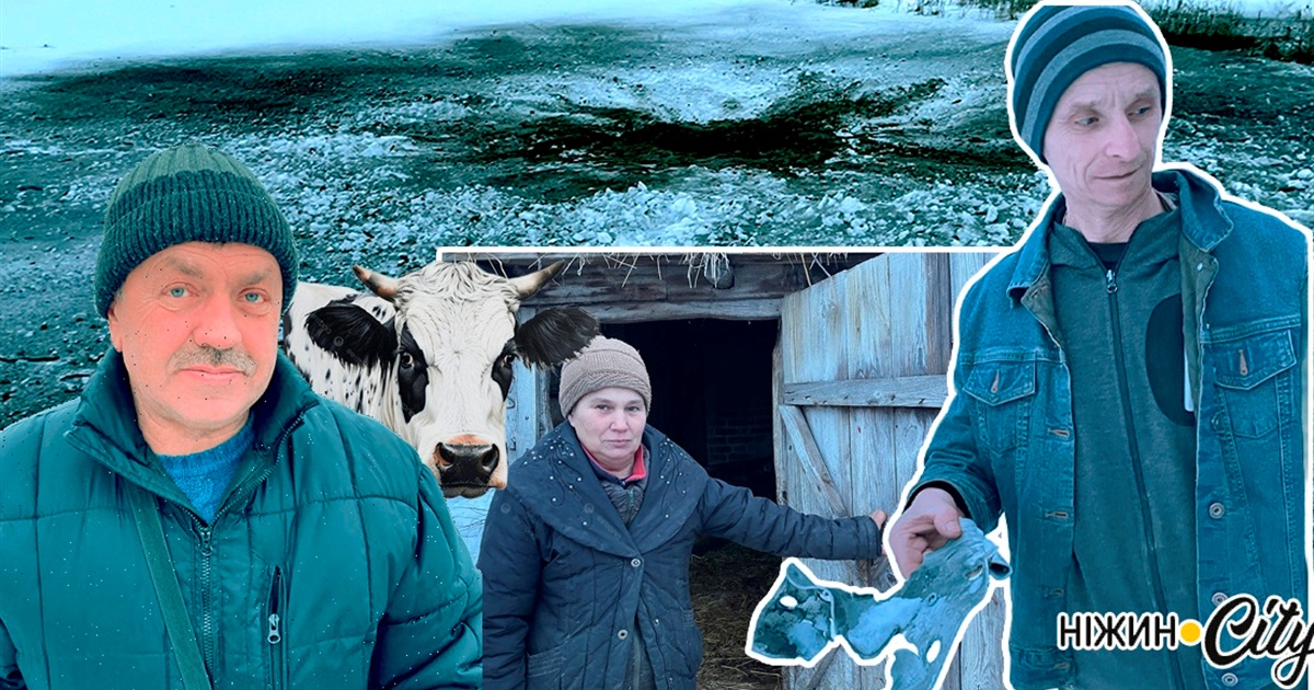 Під ударами шахедів: понівечені будівлі, всіяні уламками подвір'я, загибла худоба