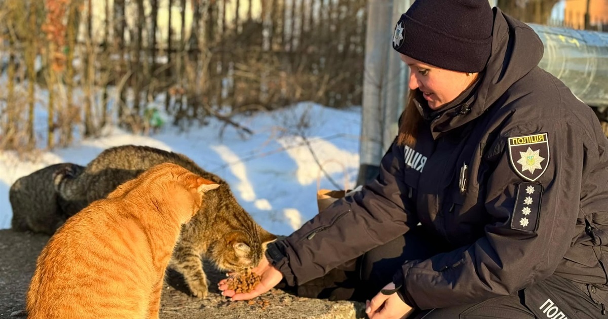 Поліцейські й прості люди в Корюківці допомагають вижити взимку безпритульним тваринам