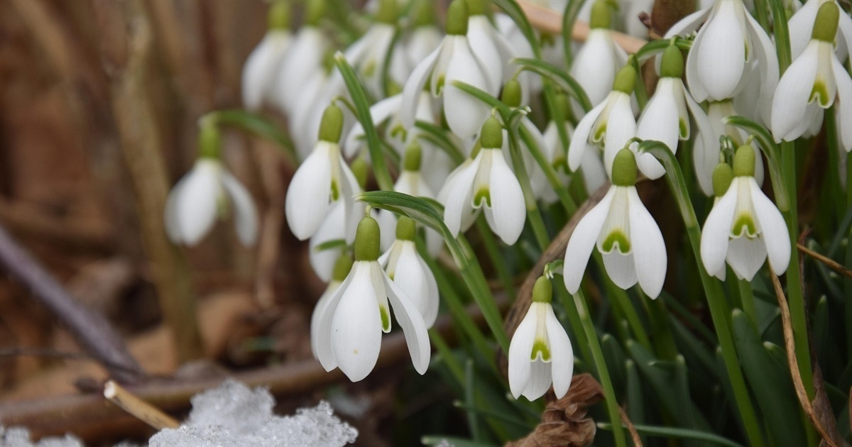 Березень 2026: Ключові зміни в соціальних виплатах, мобілізації та економіці