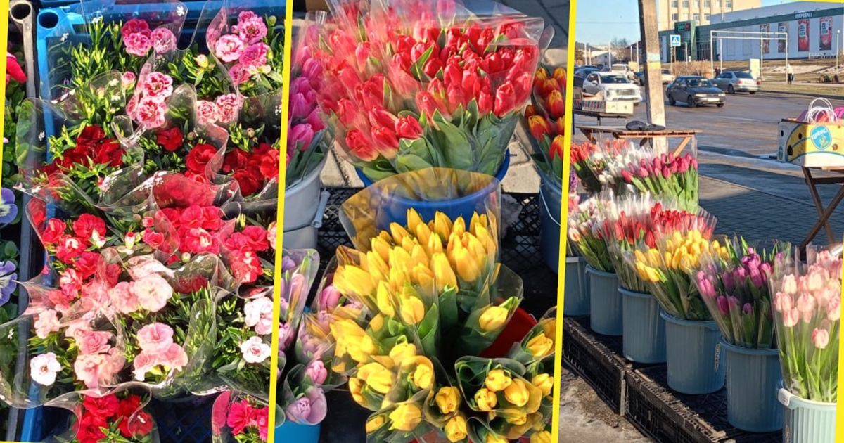 У Золотоноші запрацював квітковий базар просто неба