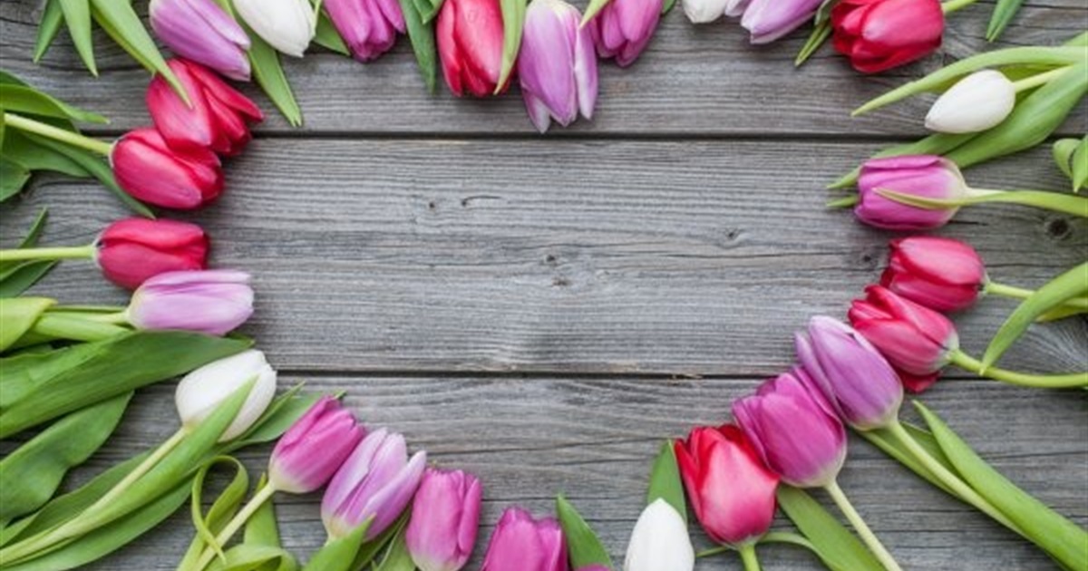 Свято весни. Які квіти люблять жінки, а які їм дарують чоловіки