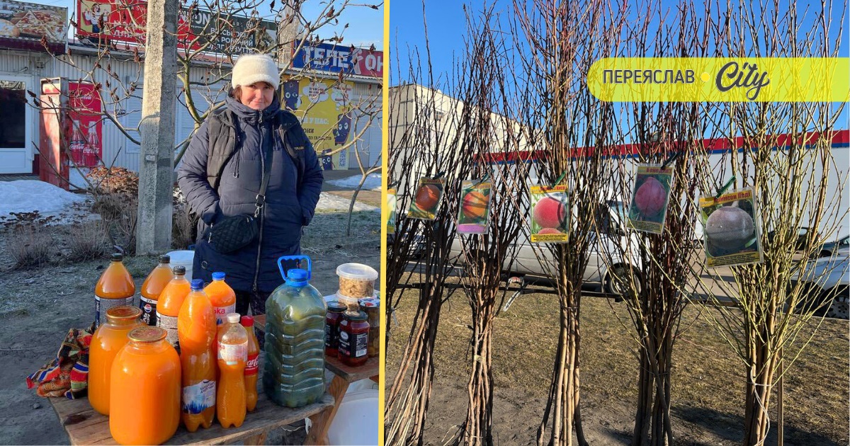На базарі в Переяславі почали продавати саджанці дерев, за сакуру правлять триста гривень