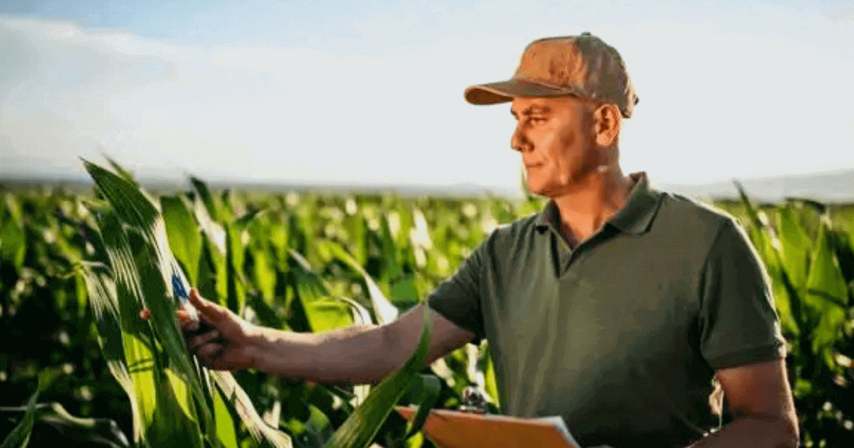 Ринок праці у Старокостянтинові: актуальні пропозиції роботи