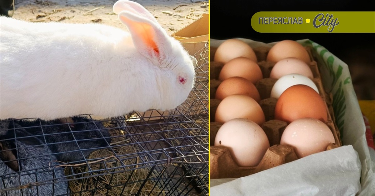 У Переяславі на базарі продавали домашні яйця по 80, а живого угорського кроля — за тисячу гривень