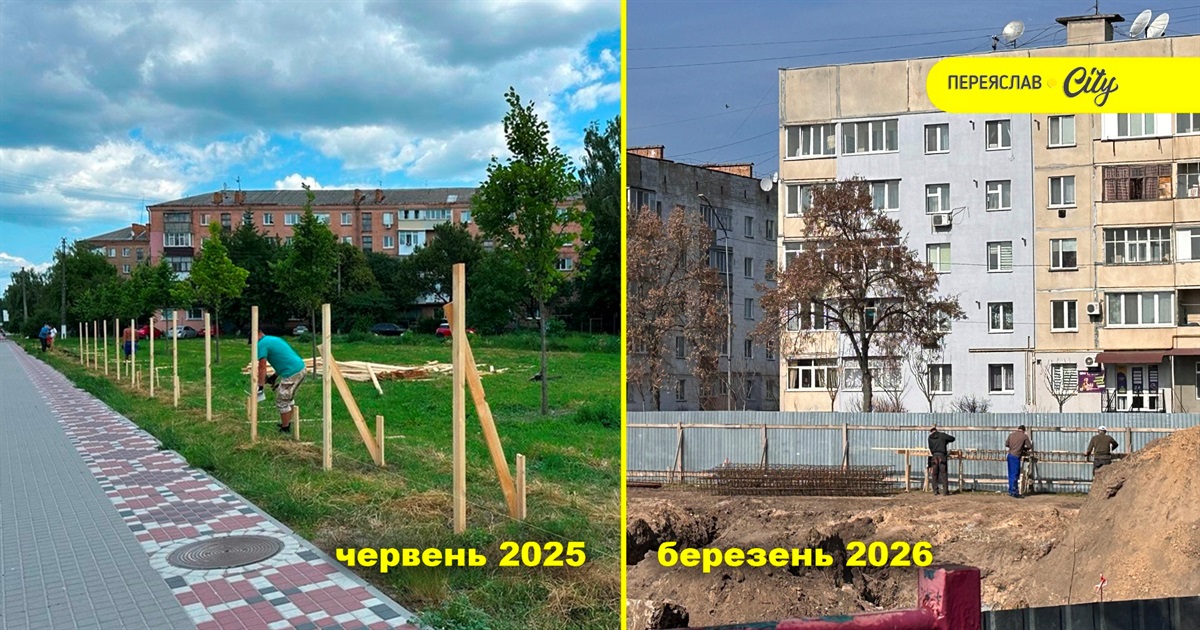 У Переяславі розпочали будівництво супермаркету "Сільпо": куди пересадили звідти міські липи?