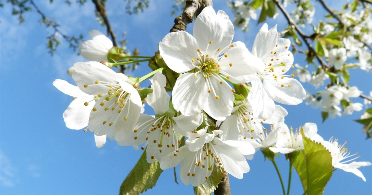 Що чекати українцям у квітні 2026: мобілізація, пенсії, документообіг, нові умови перебування в ЄС