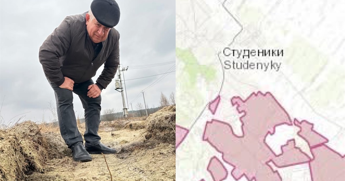 У Студениківській громаді прижилися «Лісосмуги Життя»: навесні там знову висаджуватимуть деревця