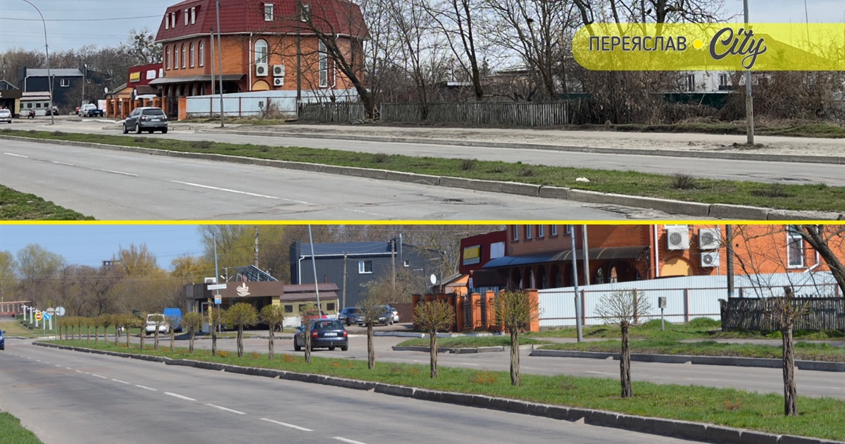 Куди поділися декоративні верби з вулиці Покровської у Переяславі?