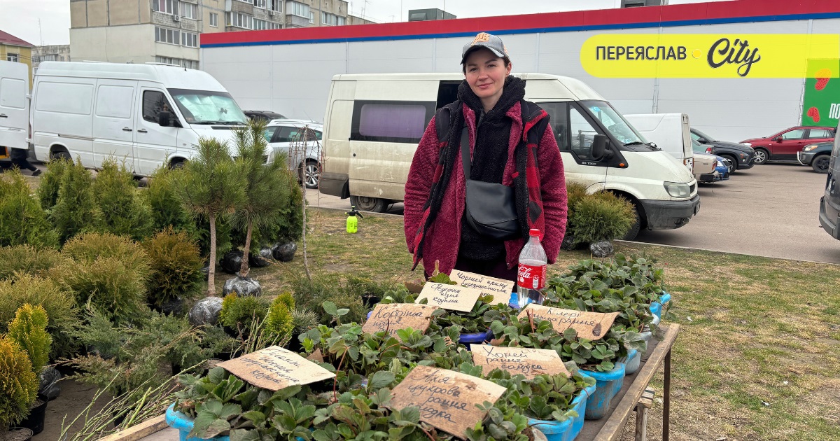 На базарі у Переяславі саджанці капусти за рік подорожчали на 10 гривень, а полуниця подешевшала