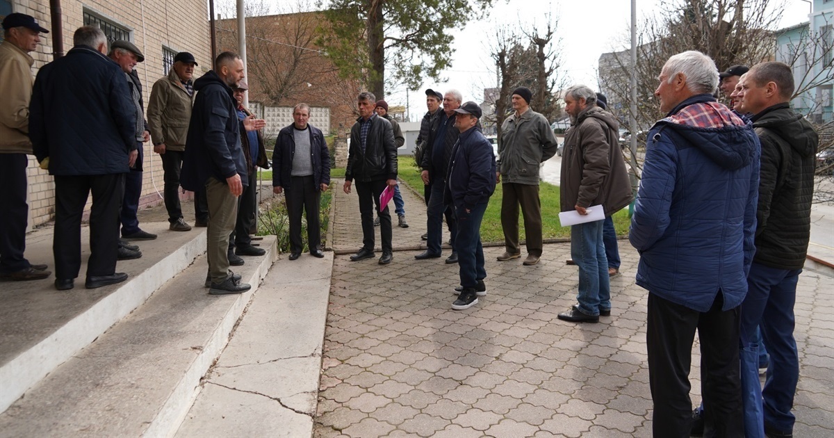 Бджоли проти пестицидів: на Городоччині пасічники та аграрії шукають компроміс