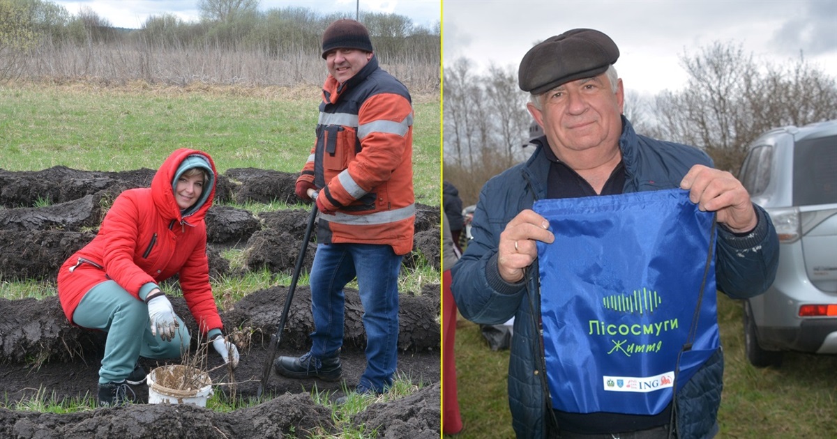 У Студениківській громаді завдяки благодійникам висадили ще одну лісосмугу довжиною 700 метрів