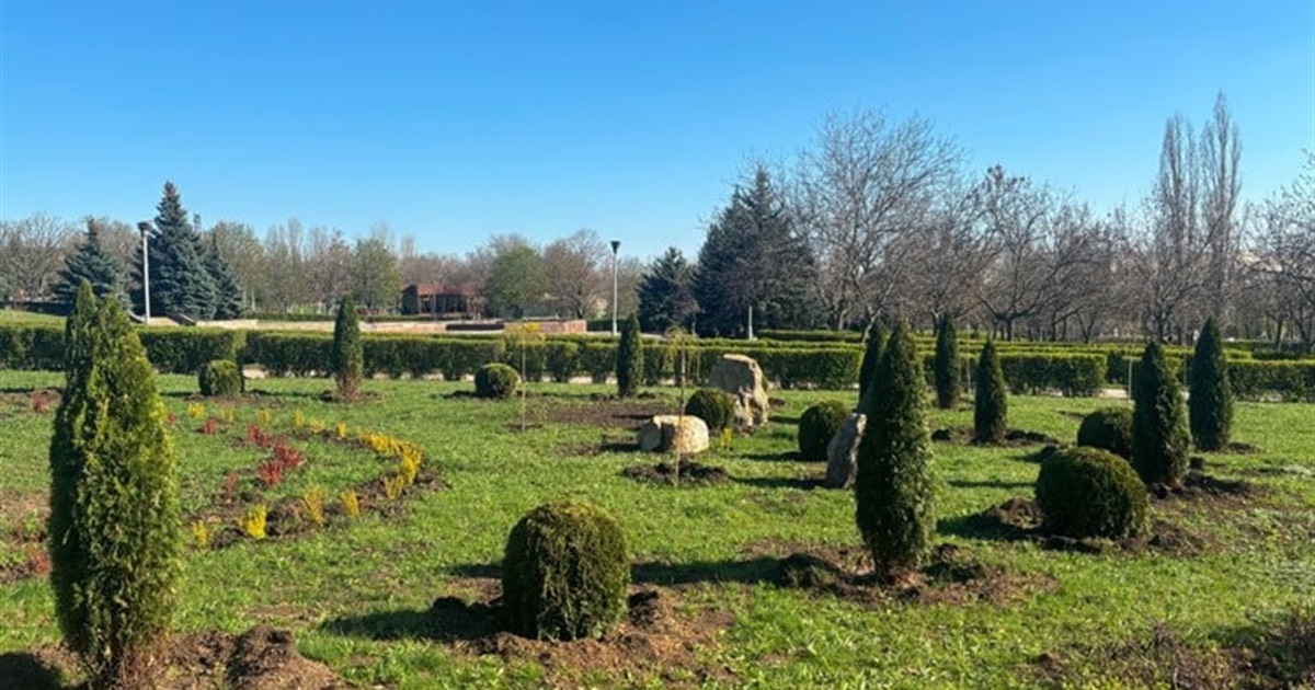 У Південноукраїнську оновлюють міський парк: висадили туї, сакури, модрини