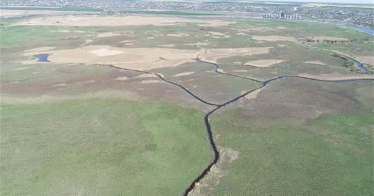 Заповідна Миколаївщина: заплаву Південного Бугу перетворили на гідрологічний заказник