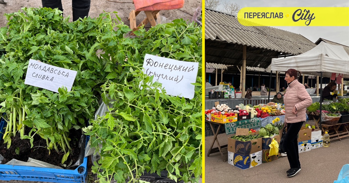 На базарі в Переяславі розсаду помідорів продають по 50-80 гривень, а капусту і перець по 70