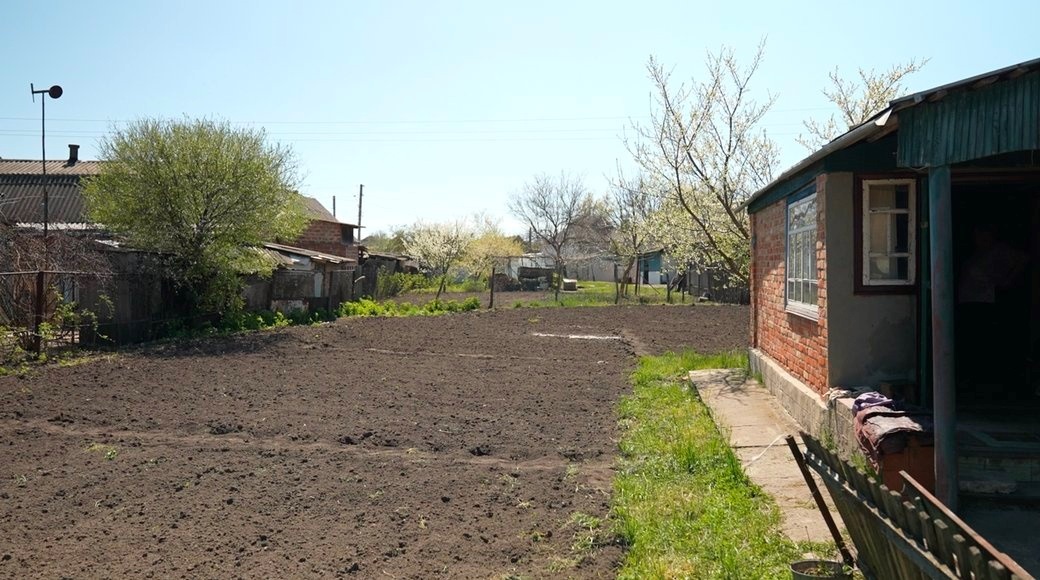 Сусіди допомогли родині посадити город на новому подвір'ї