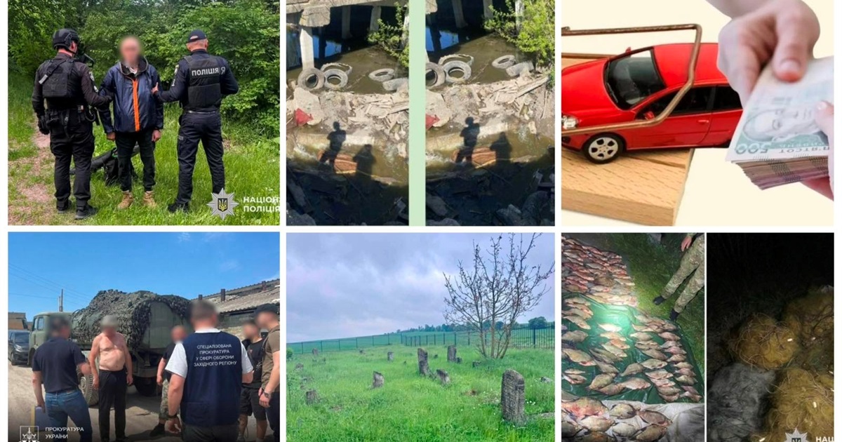 У сусідів: стрілянина по людях, розкрадання пального, шахрайство, вирок браконьєру та сміття в річці