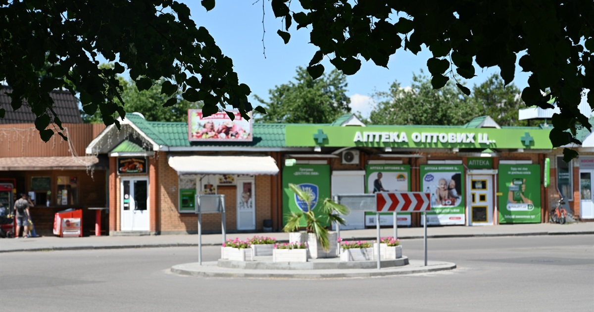Кіпрська пальма у Золотоноші: історія курортного деревця