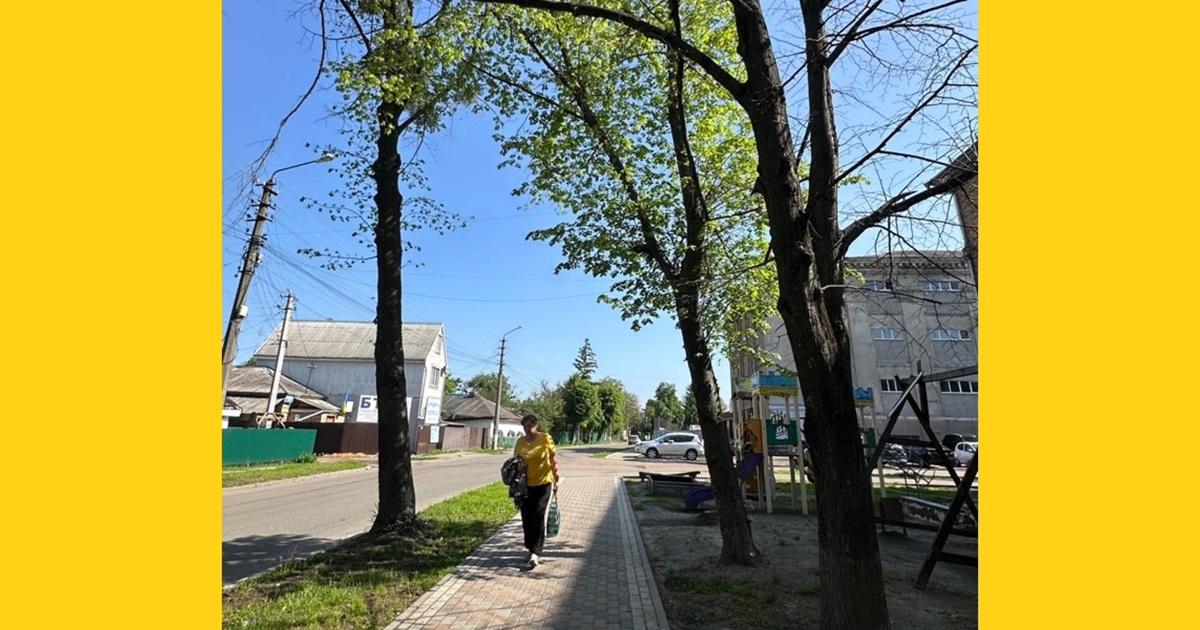 У Переяславі ще спиляють та обріжуть понад пів сотні дерев: рішення виконкому
