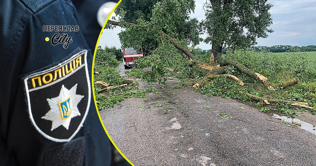 Біля Переяслава на дорогу впало дерево і перекрило рух транспорту: хроніка поліції