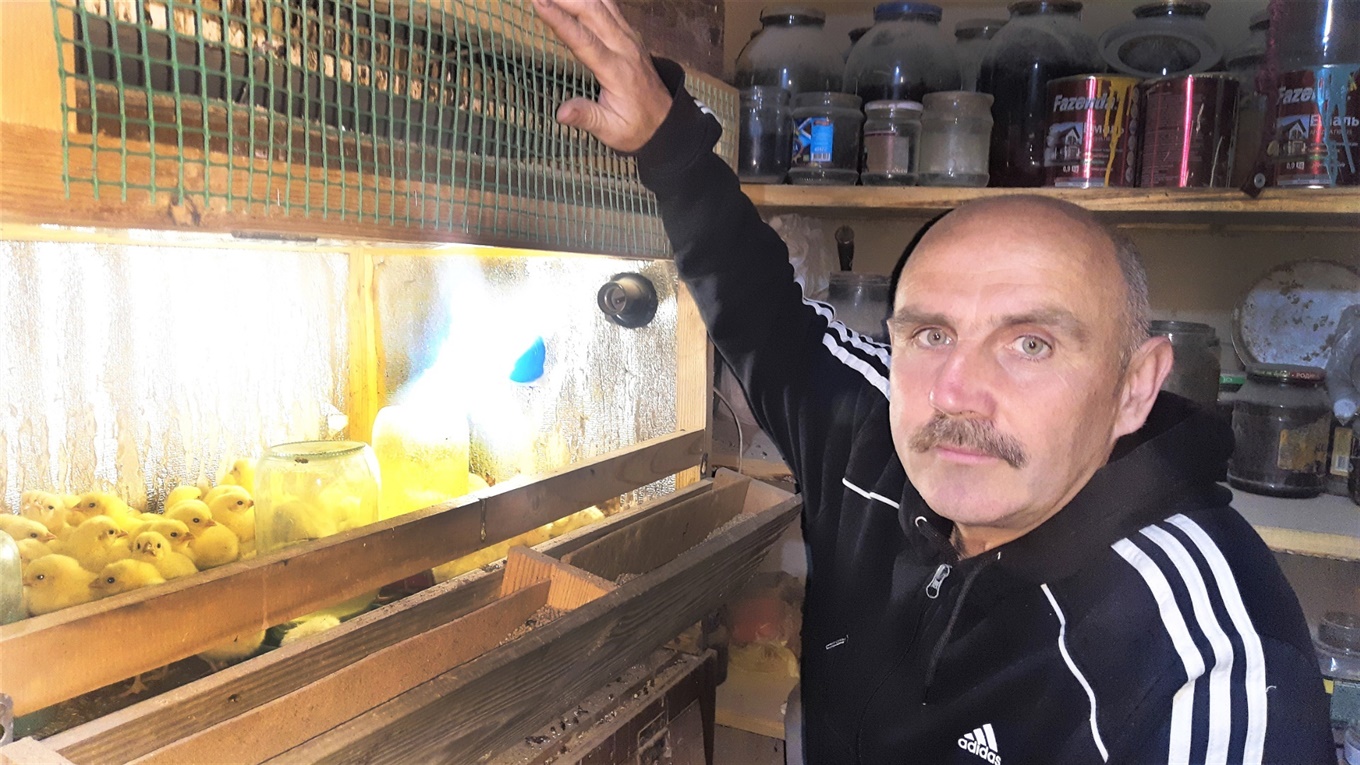 Хобі - як бізнес: «У птахівництві, як і в людських стосунках, найважливіше - тепло»
