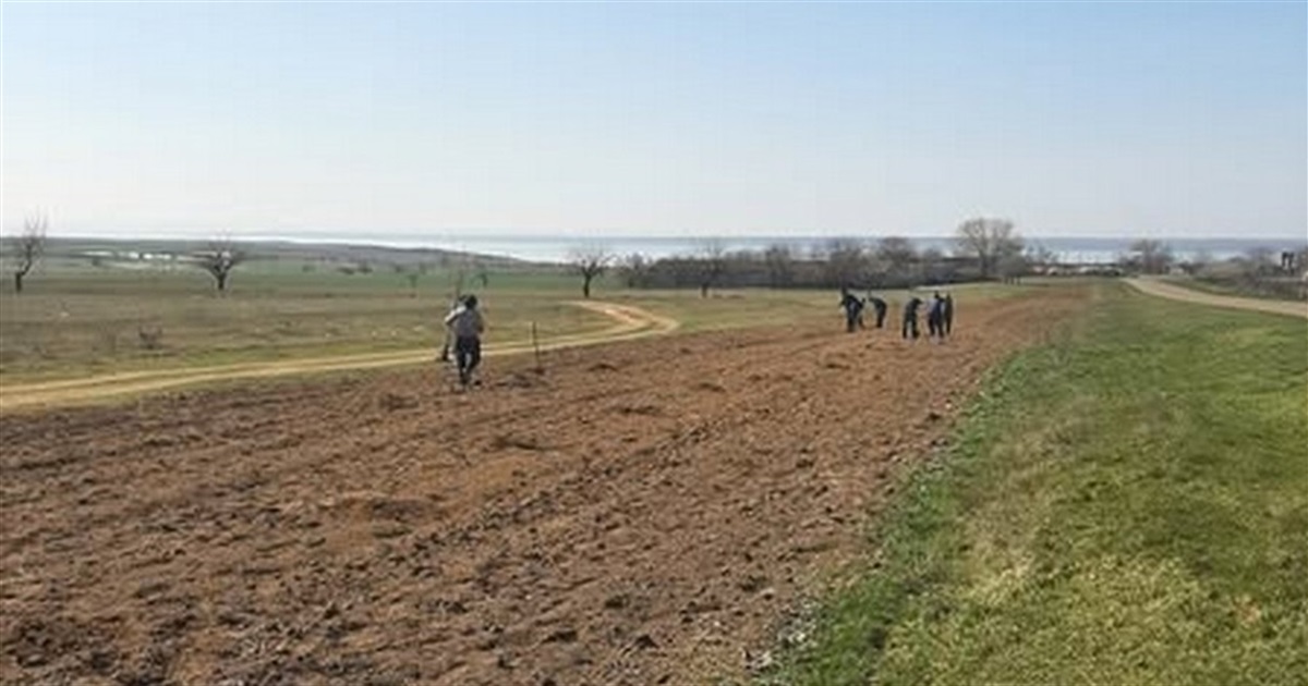 В Болградському районі висадять півтисячі дерев