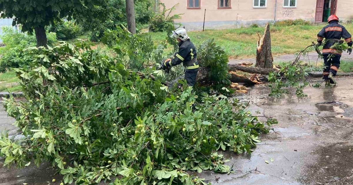 Рятувальники розблокували автошляхи від повалених через негоду дерев