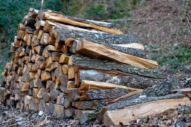 Малозахищеним верствам населення допоможуть з дровами