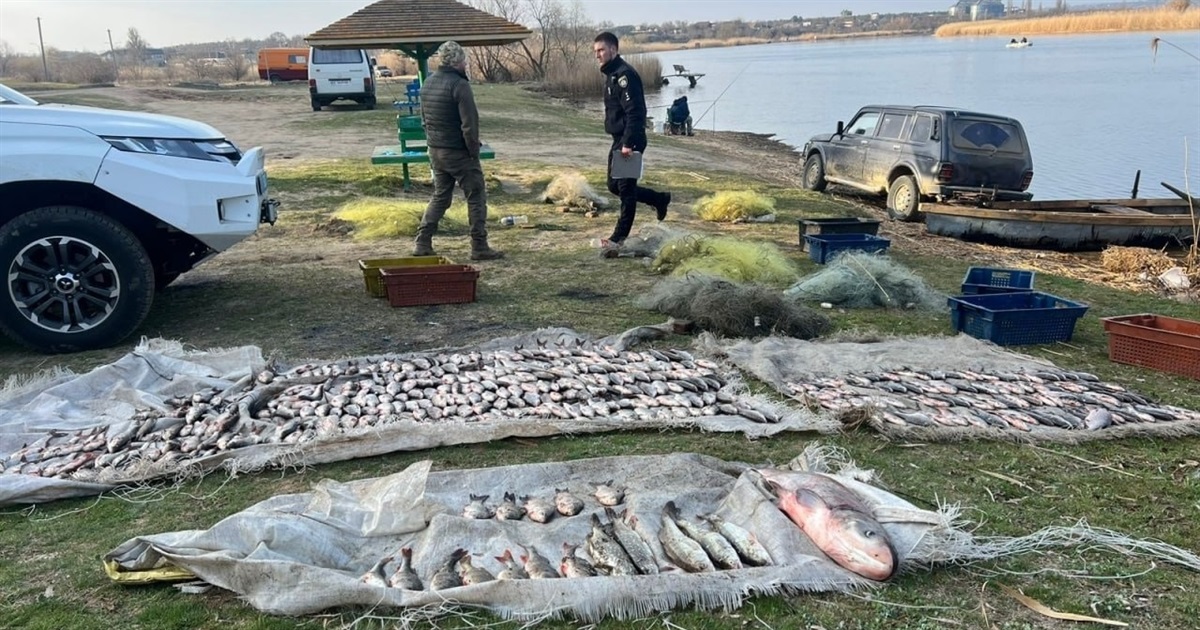 Понад 400 рибин у дев'яти сітках: на річці Південний Буг затримали масштабного браконьєра