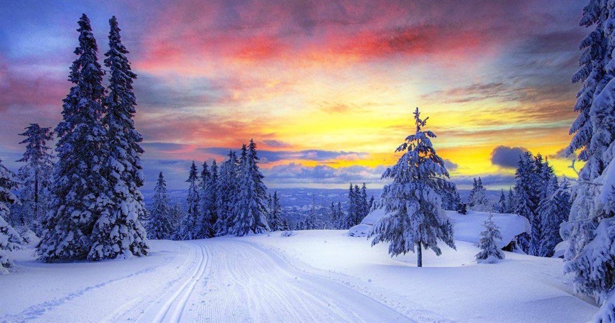 Погода на Сумщині та в Україні: що прогнозують синоптики найближчими днями