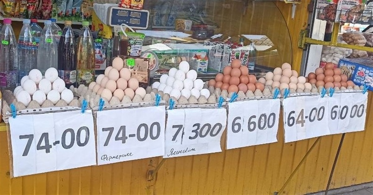 По 70 грн за десяток: чому на Житомирщині зростають ціни на яйця