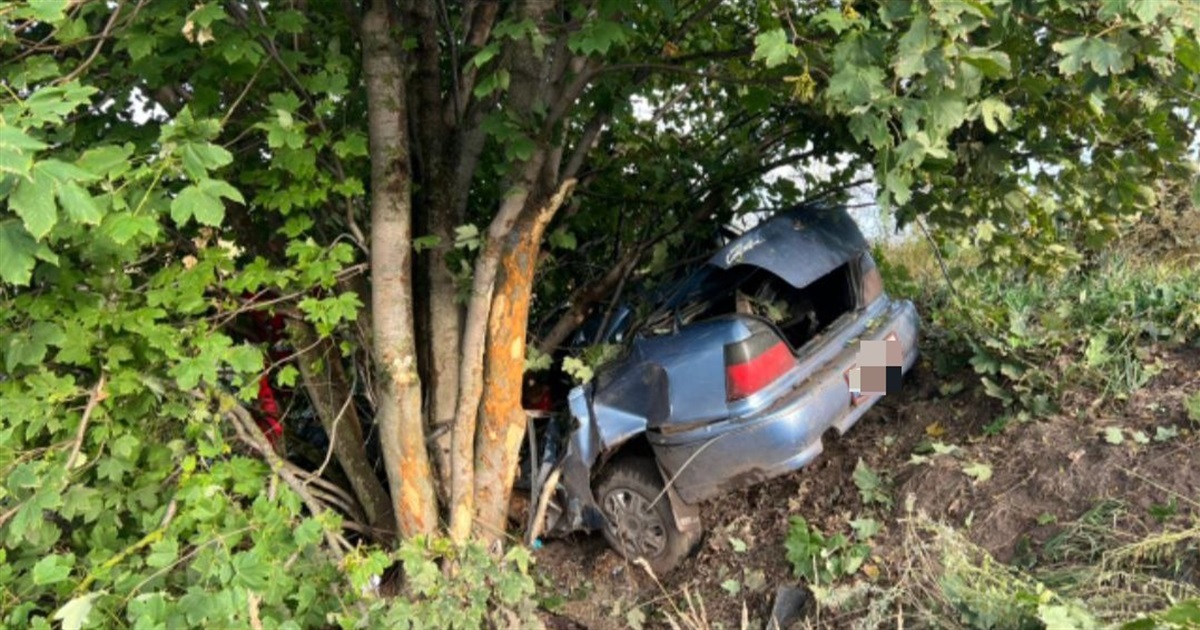 На Переяславщині автомобіль злетів у кювет і врізався в дерево: 39-річний водій загинув