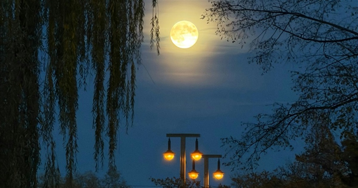 Де відключатимуть електроенергію селах Кагарлицької громади 30 та 31 березня