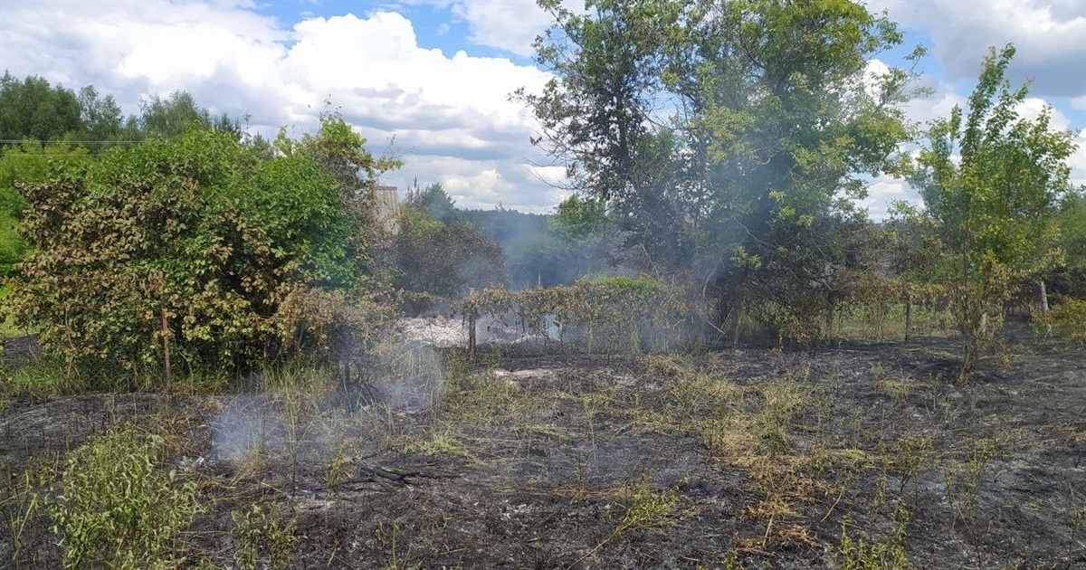 Вогонь загрожував будинкам: на Переяславщині горіла суха трава