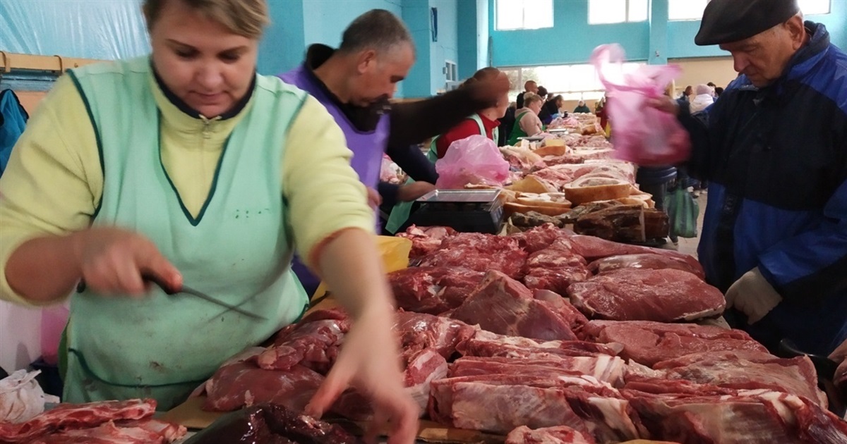 Ціни на звягельському базарі на початок жовтня: молоко, яйця, м’ясо та овочі