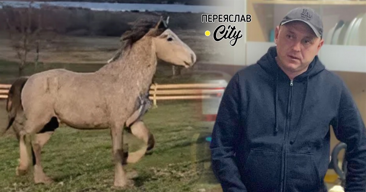 Ігор Сабадаш взимку 2022-го випустив корів і коней у чисте поле, а сам пішов на війну