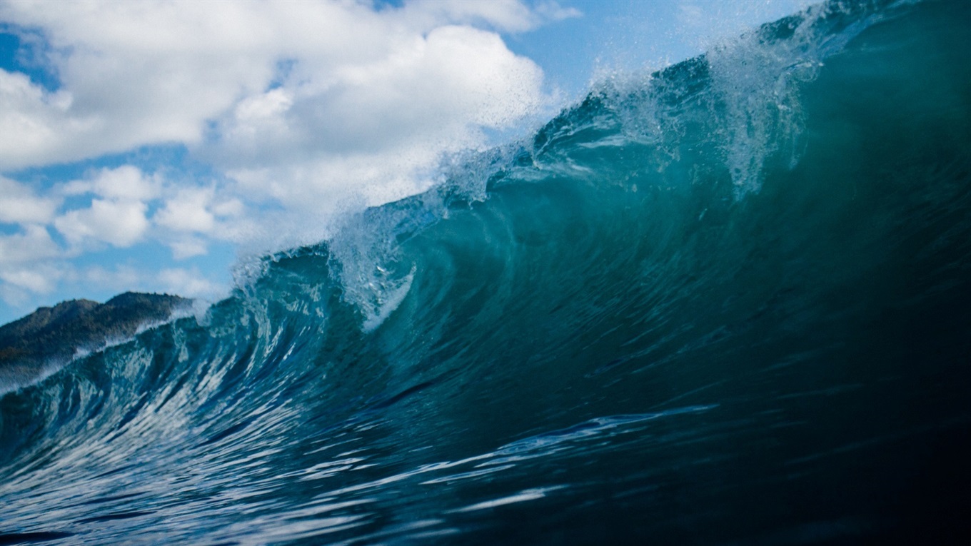 Насыщенный увлажняющий крем «Морские волны» 50 мл Algologie купить в SmartBuy
