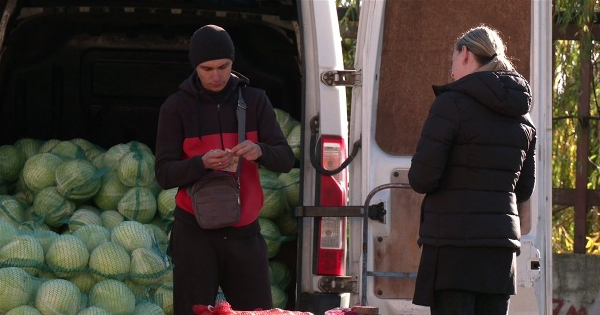 Ціни на ринку Звягеля у листопаді: від картоплі по 20 грн до червоної риби по 550 грн