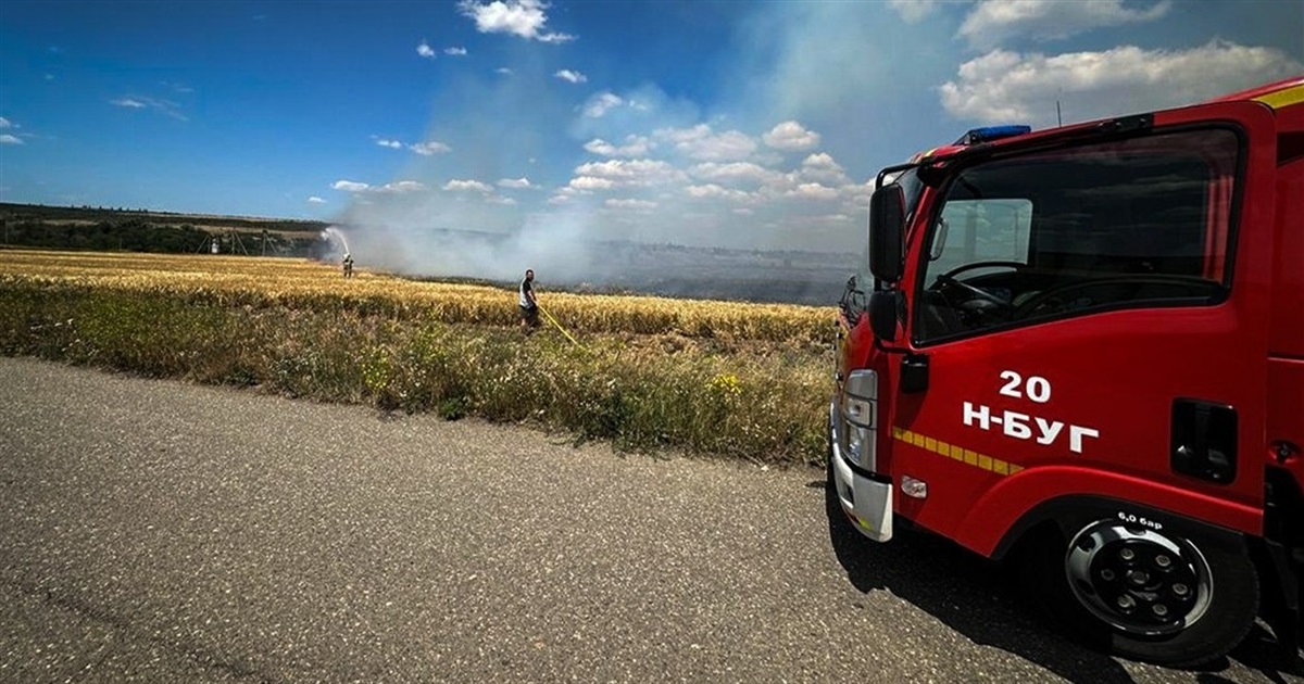 Вогонь проти хліба: за добу на Миколаївщині знищено понад 520 гектарів зернових