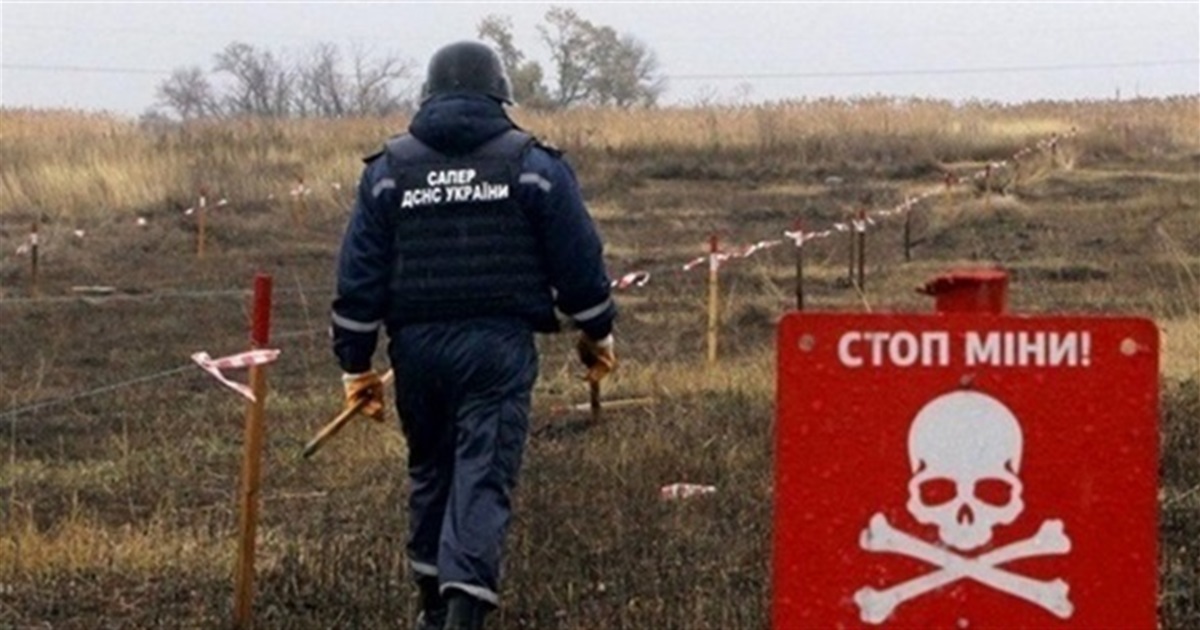 У 2024 році Україна розмінувала 53,7 гектар землі. Понад 90% із неї на Херсонщині