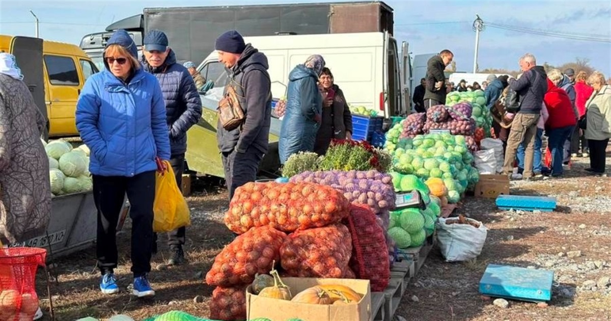 Ціни на ринку "Урожай" у Звягелі: огляд асортименту та вартості станом на 26 жовтня