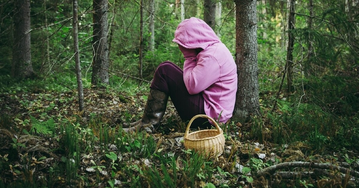 Білопільчанка заблукала в лісі. Вирушаючи на "тихе полювання", пам’ятайте про свою безпеку