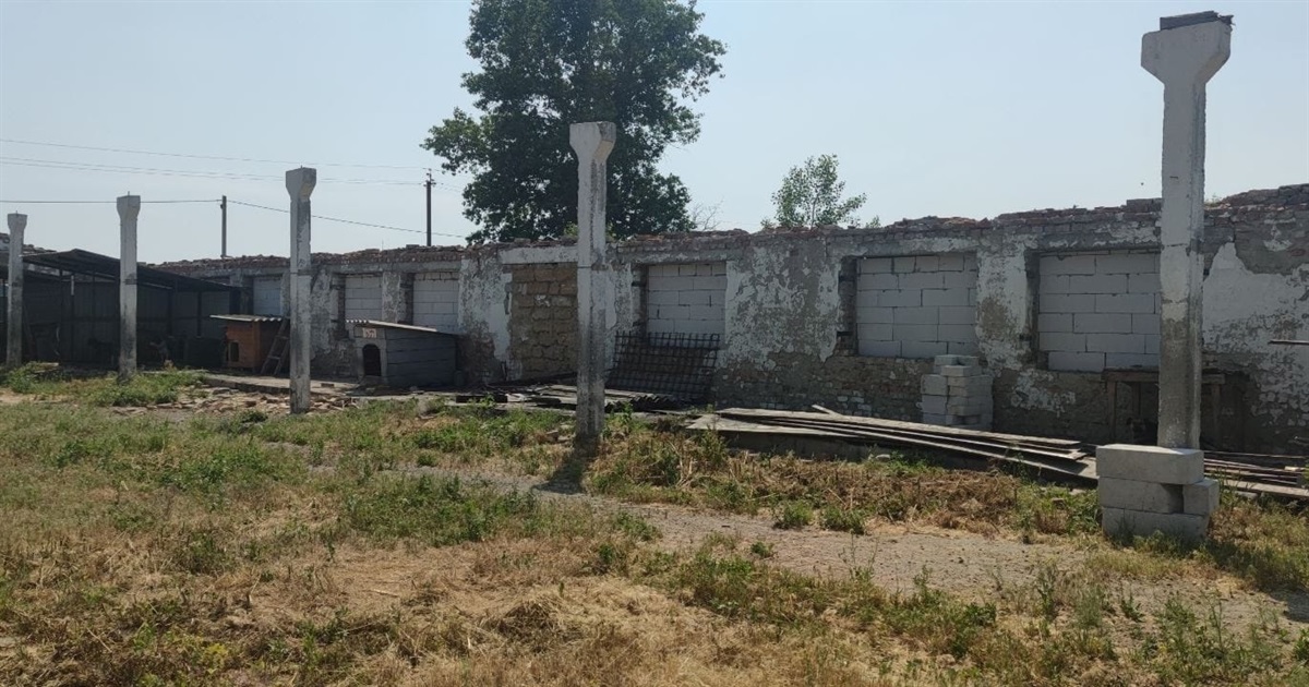 Притулок для собак у Переяславі продовжать будувати. Коштами допоміг київський благодійний фонд