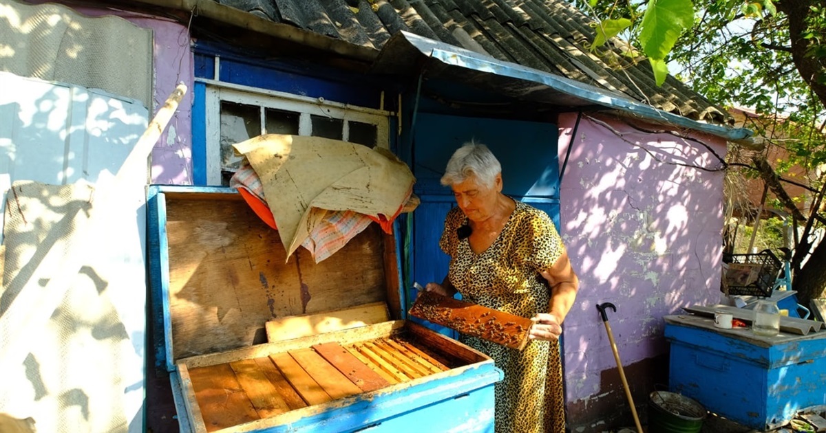Російський військовий побив так, що втратила слух. Історія жительки Святогірська