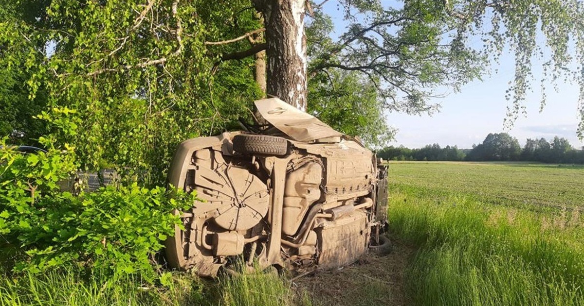 На Звягельщині шукають свідків та очевидців ДТП, в якій загинули двоє людей