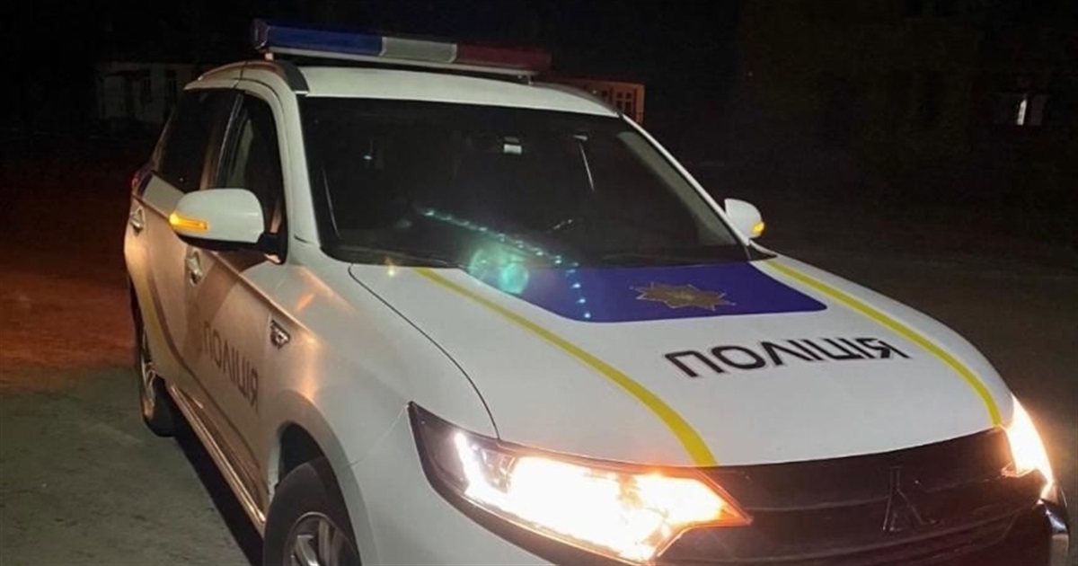 Поліцейські захистили жительку Звягельщини від домашнього насильства
