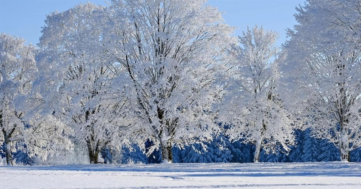 На Сумщині прогнозують мінус 12-20 градусів уночі та ожеледицю: погода