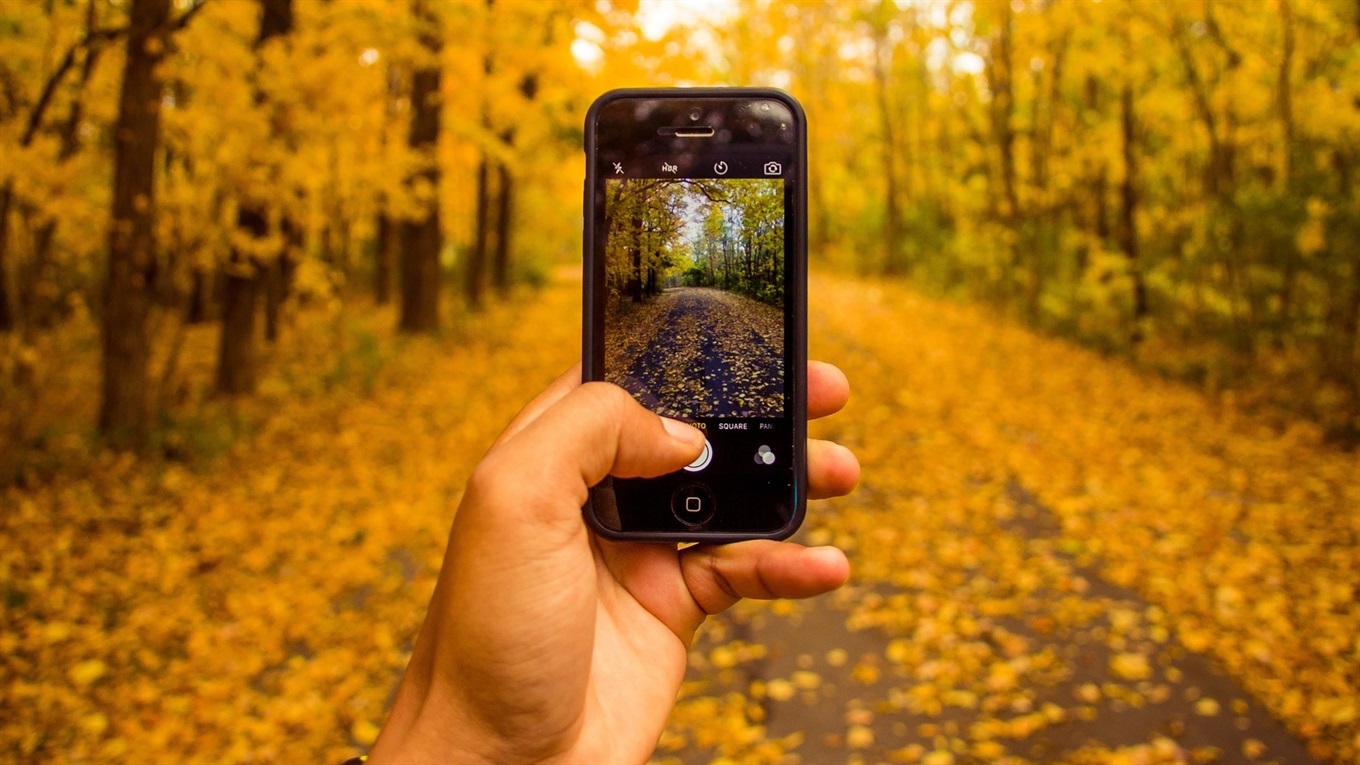 Жовтневі фото сватівчан і Сватового: Instagram-підбірка