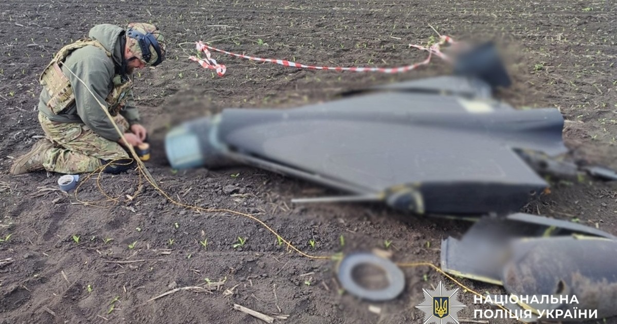 На Житомирщині знешкодили нерозірвані бойові частини збитих російських ракет та БпЛА